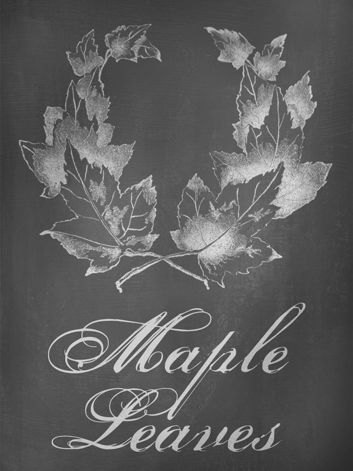 Maple Leaves Autumn Chalkboard Art - Free Digital Goodie - Printable on threelitlekittens.com/blog