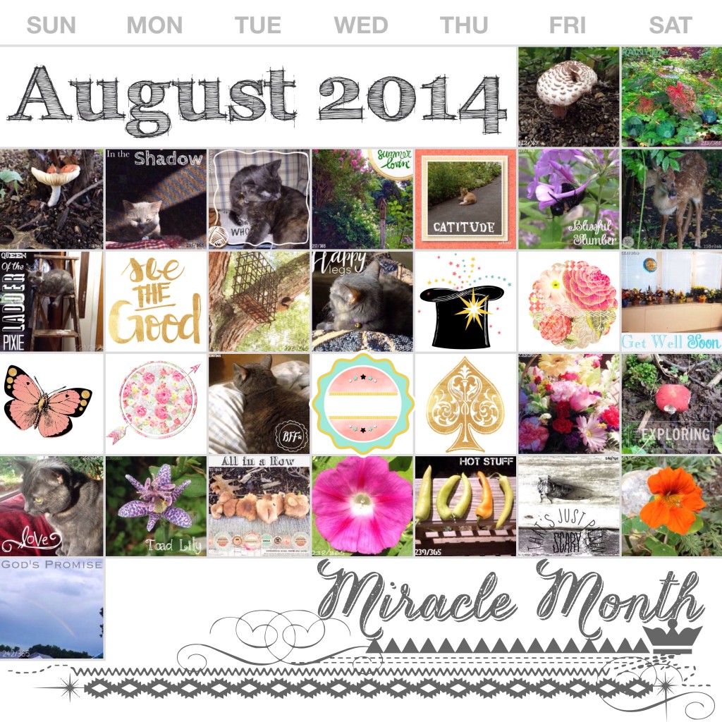 August 2014 Project Life 