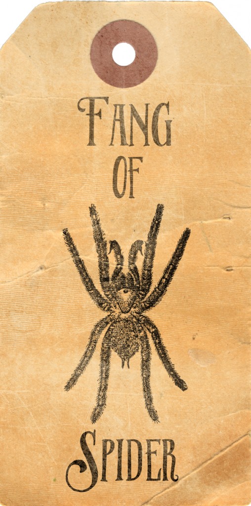 Potion-Ingredient-Tags-Fang-of-Spider on threelittlekittens.com/blog