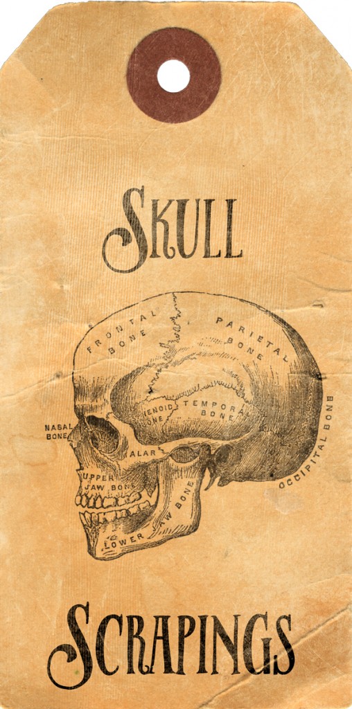 Potion-Ingredient-Tags-Skull-Scrapings on threelittlekittens.com/blog