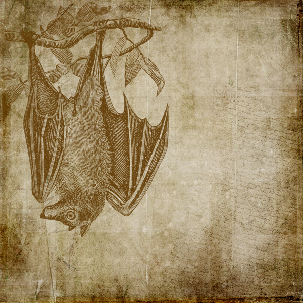 Scary Scrapbook Paper Vampire Bat on threelitlekittens.com/blog