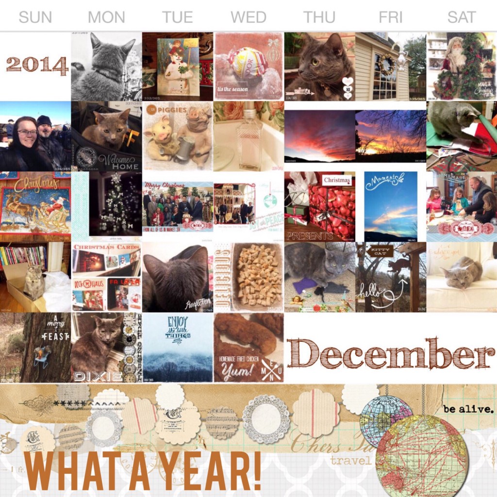 December 2014 Project Life 365 is complete"