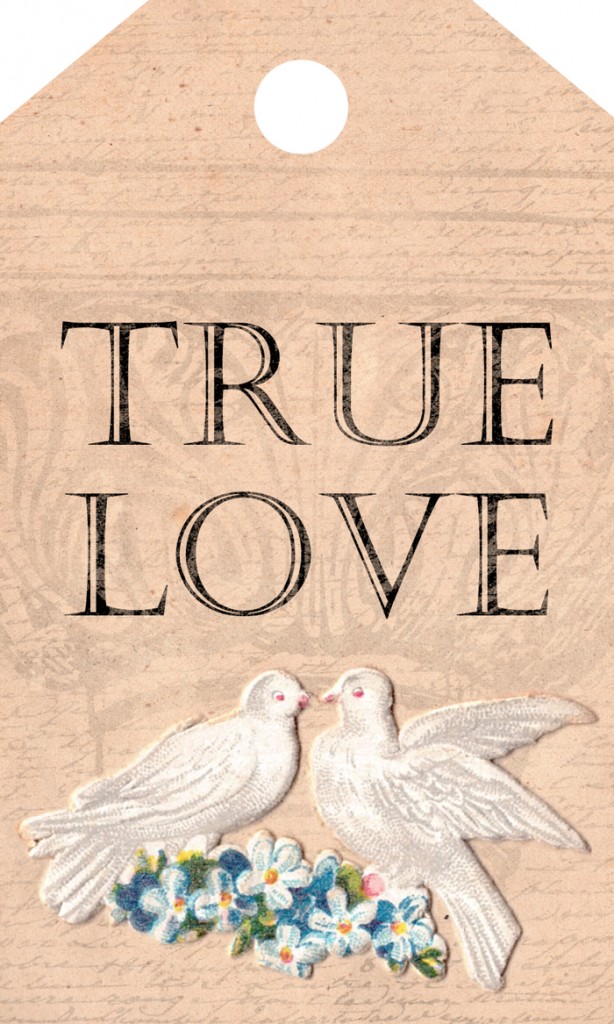 True-Love-Tag free digital goodie printable on threelittlekittens.com/blog