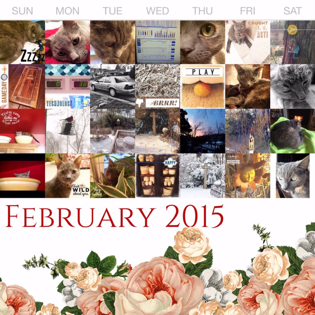 February 2015 Project Life 365