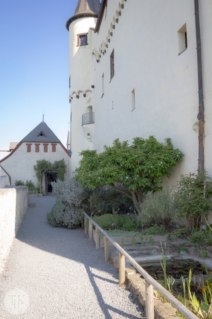 Marksburg-Castle-Herb-Garden-07