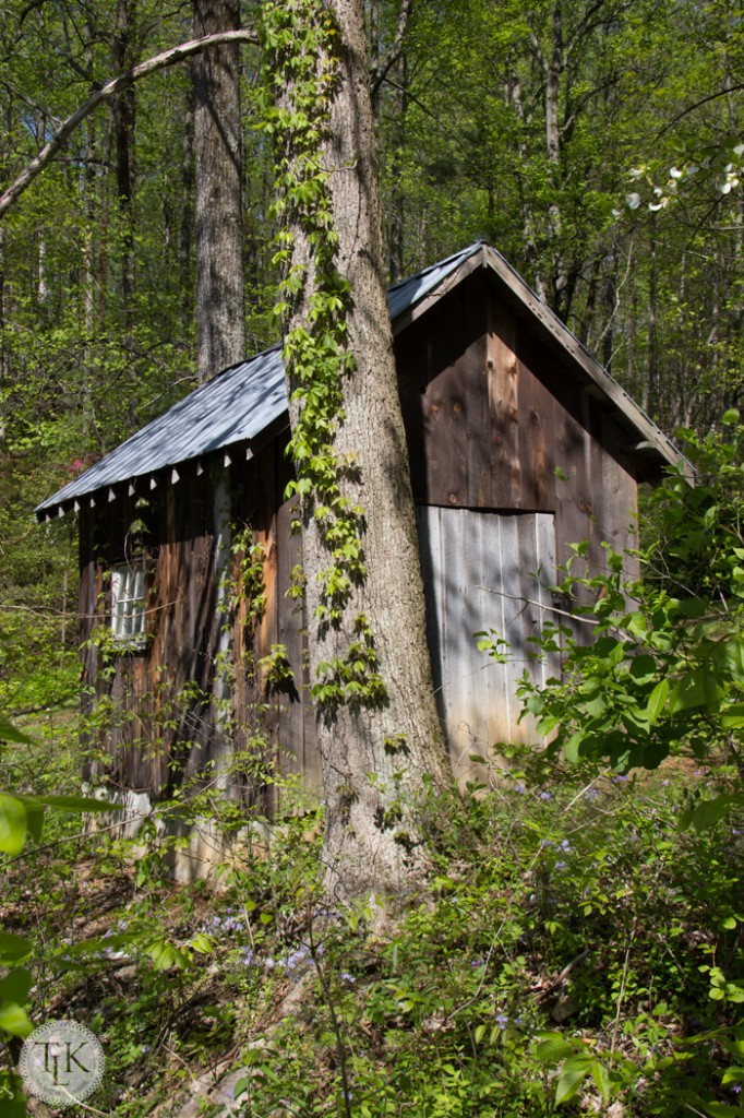 Happy-Hollow-Shed