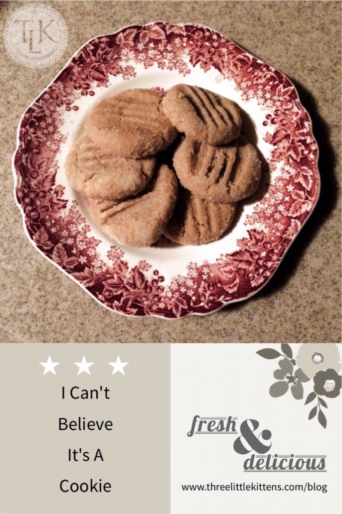 I Can't Believe It's A Cookie recipe on threelittlekittens.com/blog