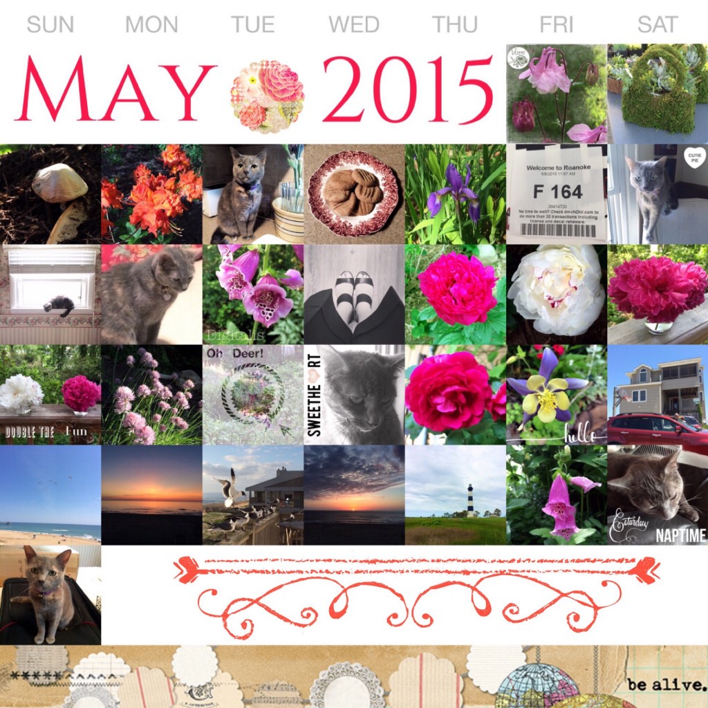 May 2015 Project Life 365 on threelittlekittens.com/blog