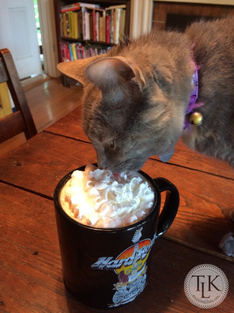 Pixie is a fan of mochas, especially the whipped cream.