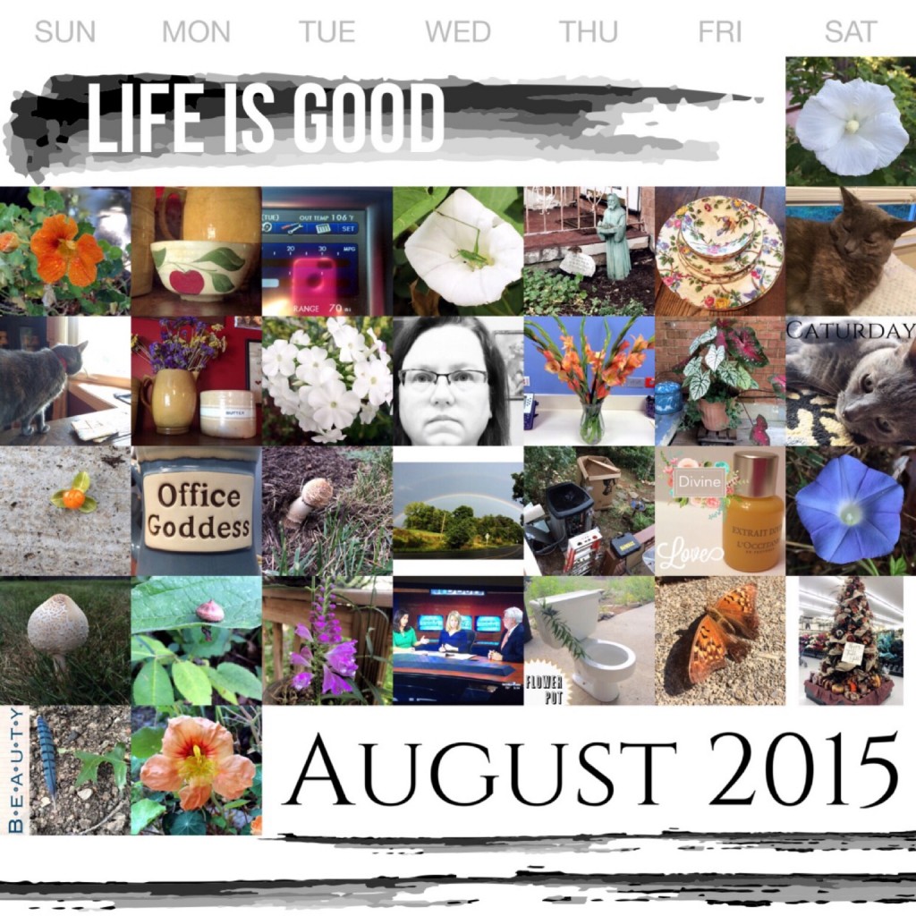 August 2015 Project Life 365 on threelittlekittens.com/blog