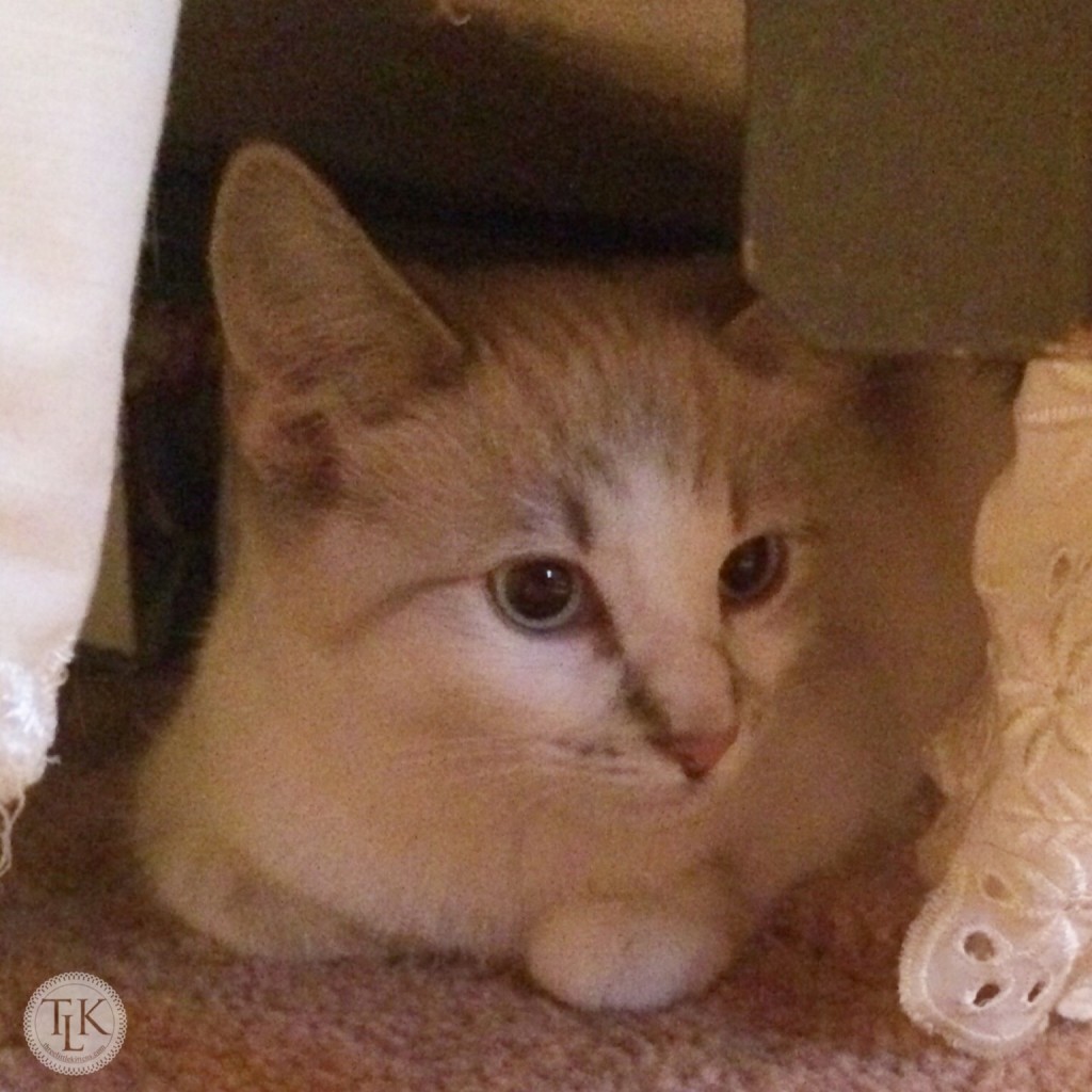 Katie from under the bed