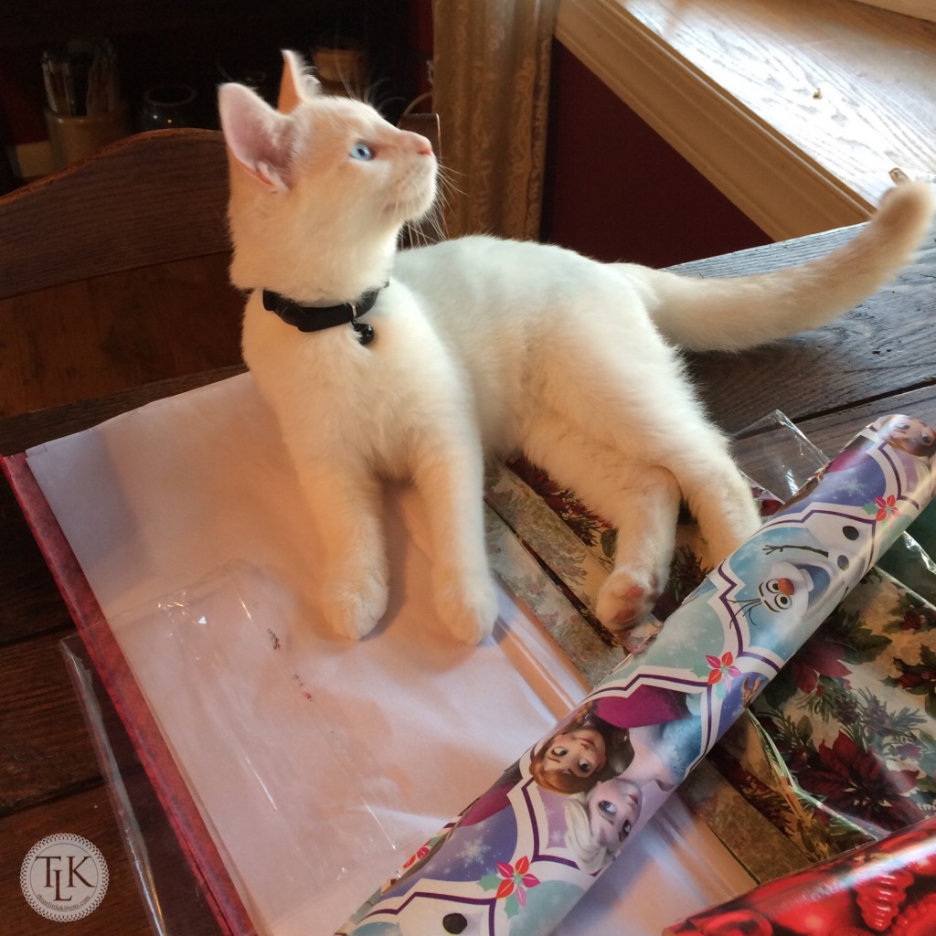 Spencer helping wrap gifts