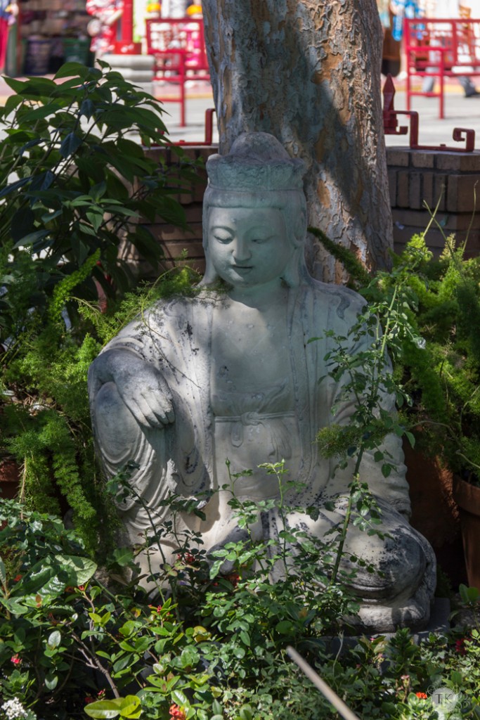 Garden Buddha