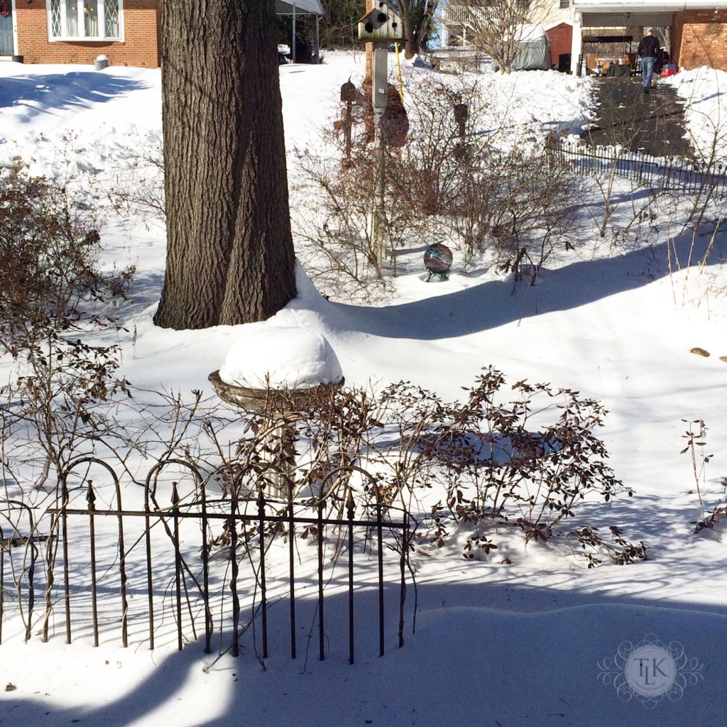 Enjoying the snow from Jonas 