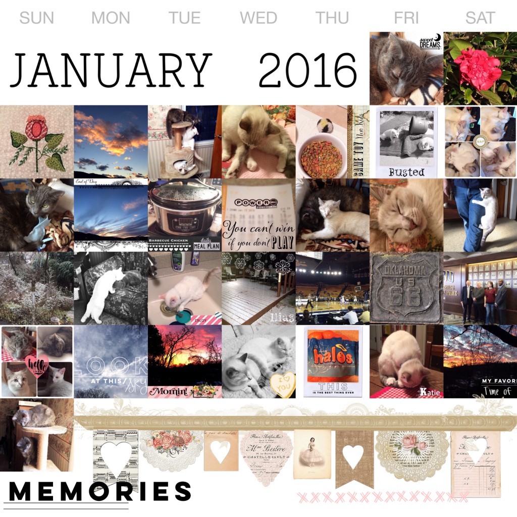 THREE LITTLE KITTENS BLOG | January 2016 Project Life 365