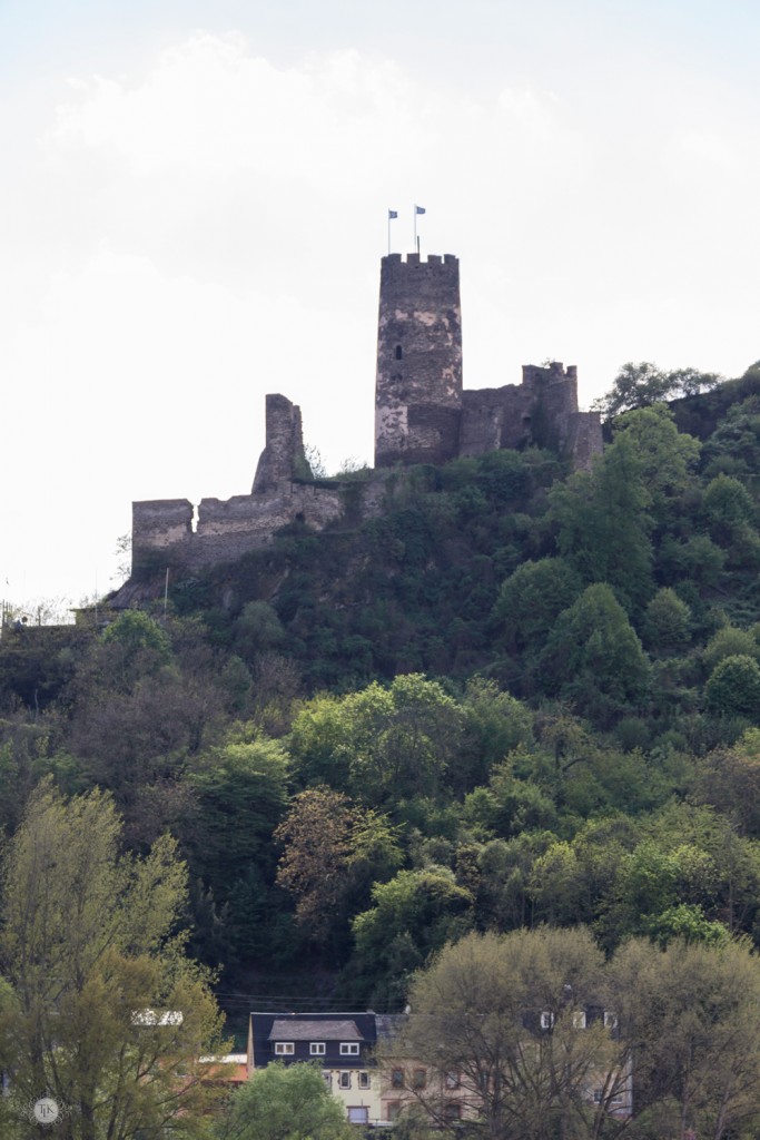 THREE LITTLE KITTENS BLOG | Furstenberg-Castle