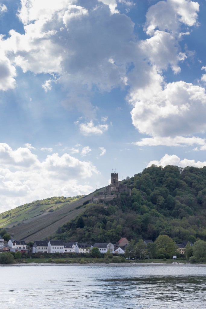 THREE LITTLE KITTENS BLOG | Furstenberg-Castle