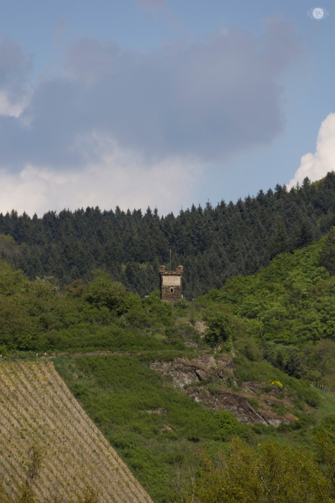 THREE LITTLE KITTENS BLOG | Tower-above-the-vineyards