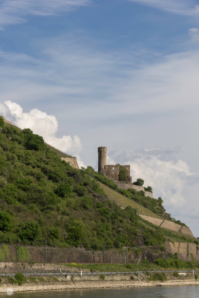 THREE LITTLE KITTENS BLOG | Ehrenfels-Castle