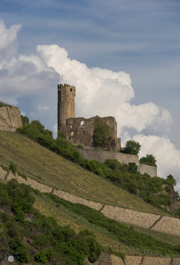 THREE LITTLE KITTENS BLOG | Ehrenfels-Castle