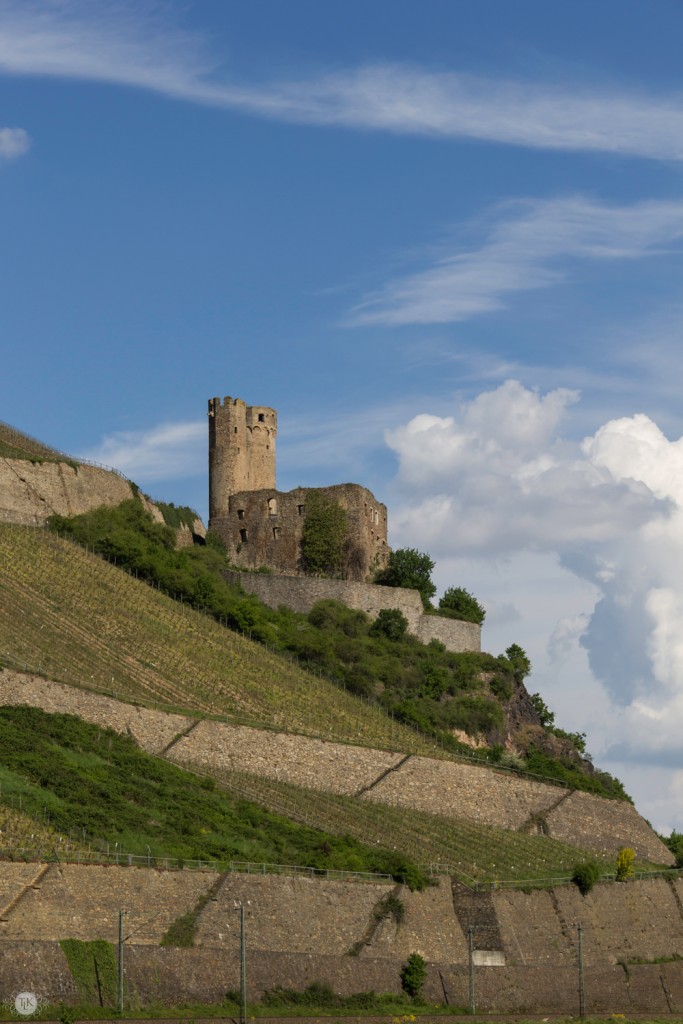 THREE LITTLE KITTENS BLOG | Ehrenfels-Castle