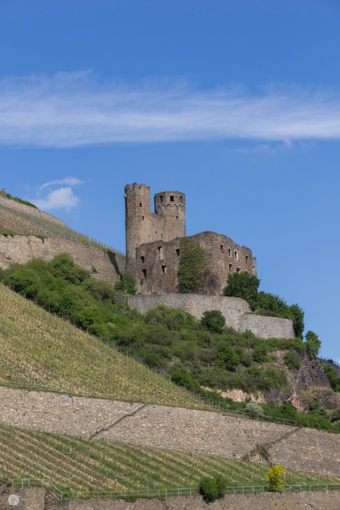 THREE LITTLE KITTENS BLOG | Ehrenfels-Castle