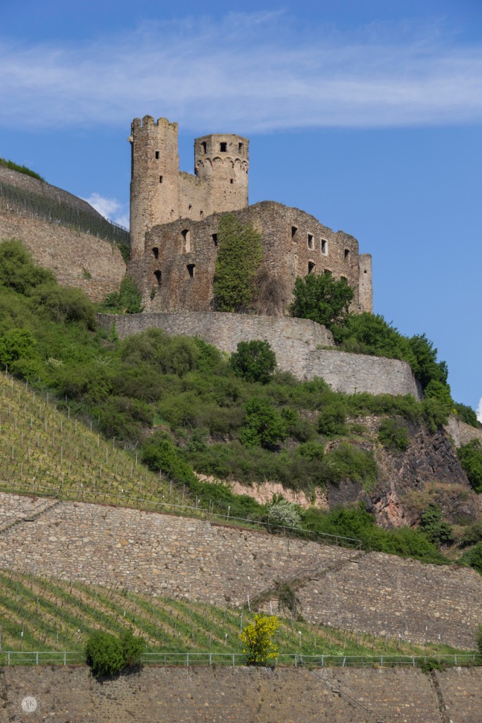 THREE LITTLE KITTENS BLOG | Ehrenfels-Castle