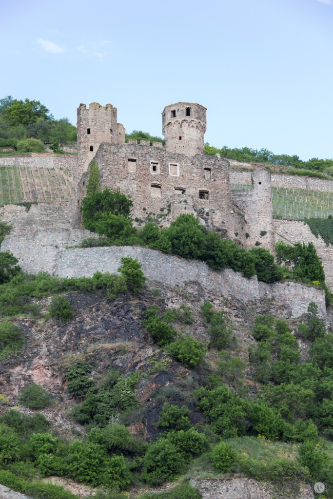 THREE LITTLE KITTENS BLOG | Ehrenfels-Castle