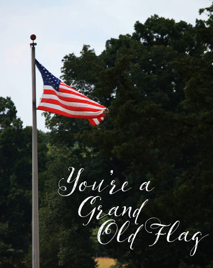 THREE LITTLE KITTENS BLOG | Happy Flag Day! You're a Grand Old Flag!