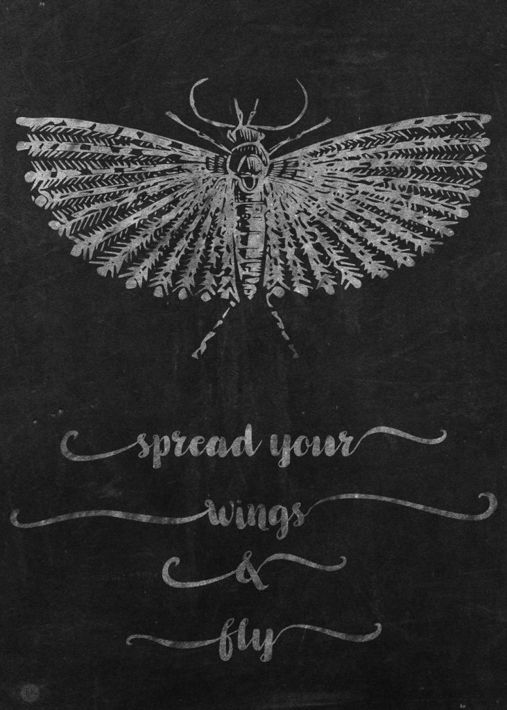 THREE LITTLE KITTENS BLOG | Spread Your Wings & Fly Digital Goodie - Free Printable