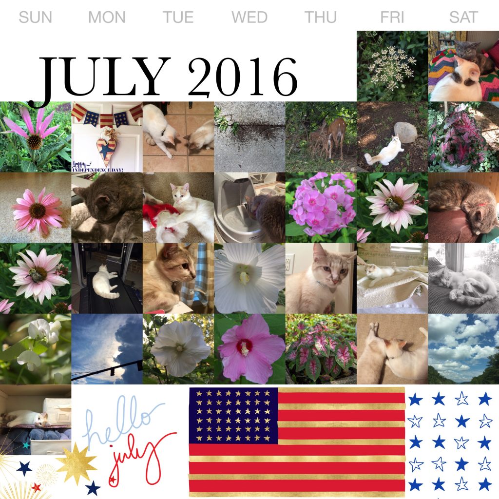 THREE LITTLE KITTENS BLOG | Project Life 365 July 2016