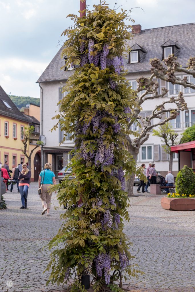 THREE LITTLE KITTENS BLOG | Wisteria-Lamp-Post