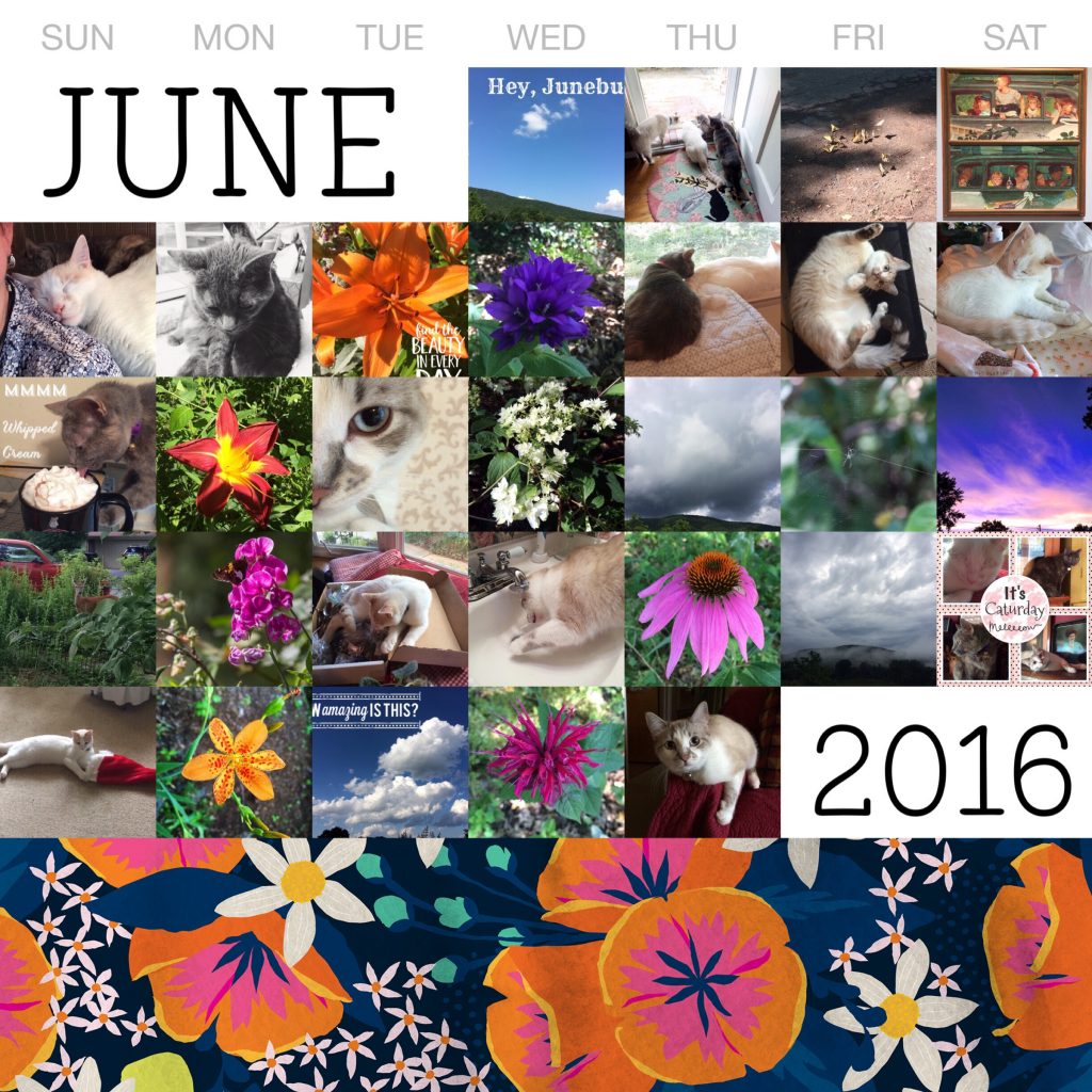 THREE LITTLE KITTENS BLOG | Project Life 365 - June 2016