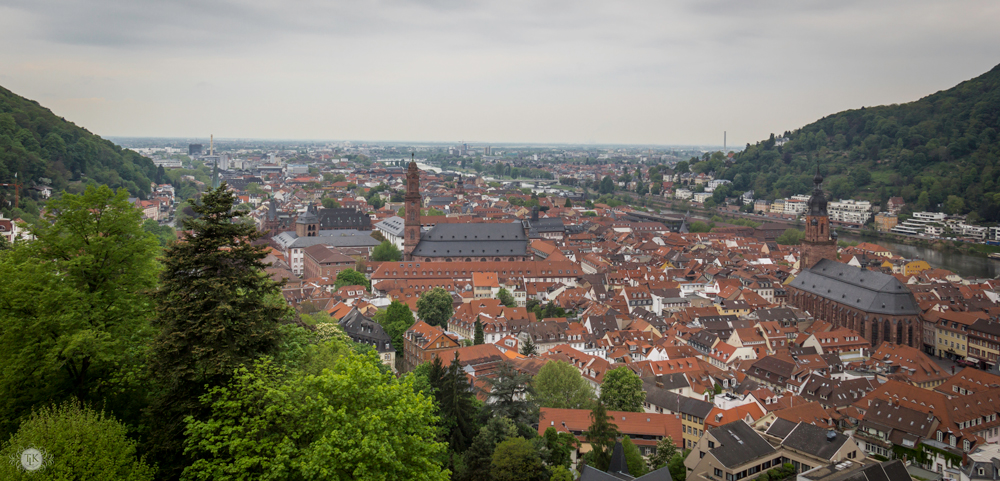 THREE LITTLE KITTENS BLOG | View-of-Altstadt-on-a-Rainy-Morning