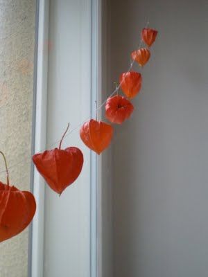 chinese-lantern-garland