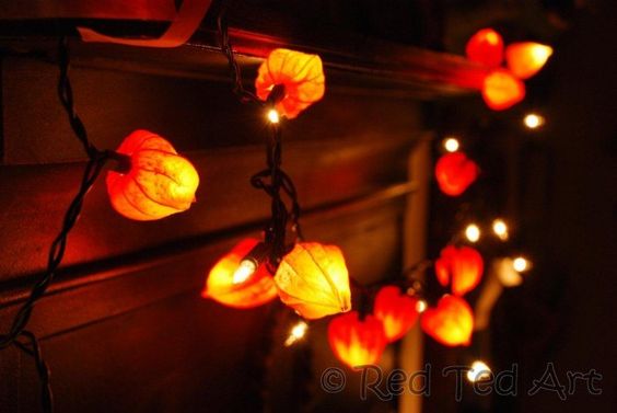 chinese-lantern-light-covers