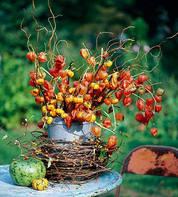 chinese-lanterns-fall-decor