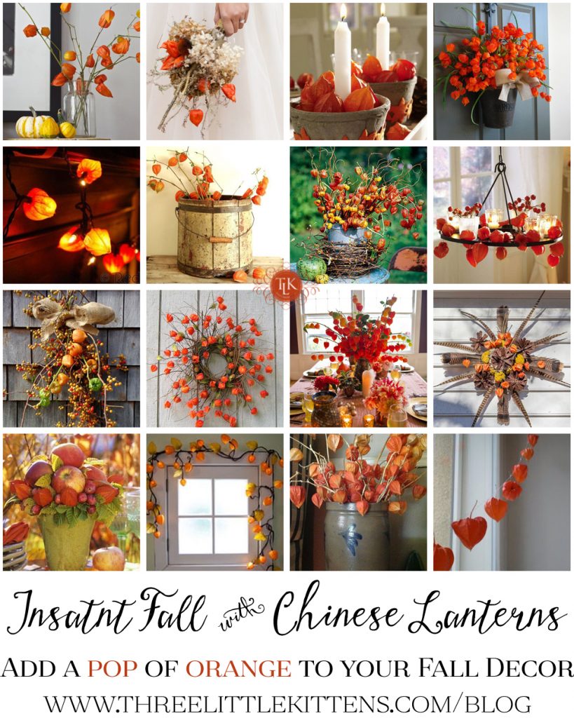 THREE LITTLE KITTENS BLOG | Instant Fall Decor with Chinese Lanterns