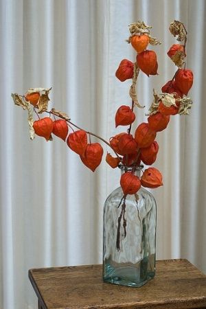 chinese-lantern-arrangement-2