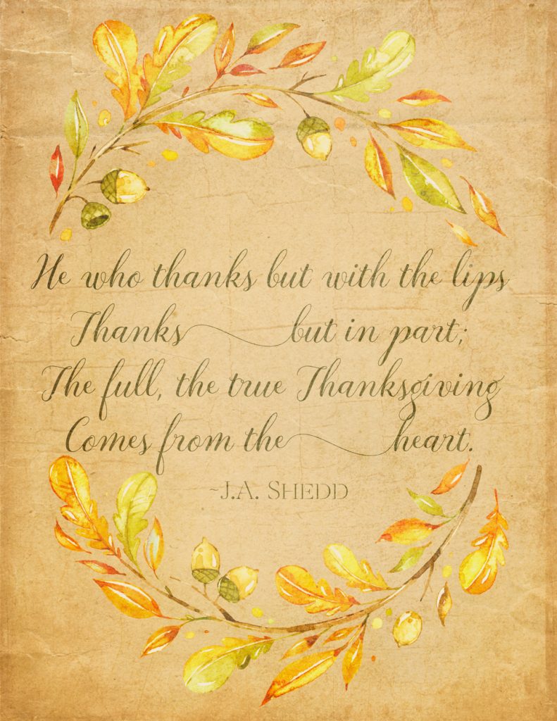 THREE LITTLE KITTENS BLOG | Thanksgiving Quote | Happy Thanksgiving
