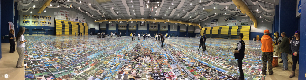 THREE LITTLE KITTENS BLOG | World's Largest Photo Collage - Guinness World Record