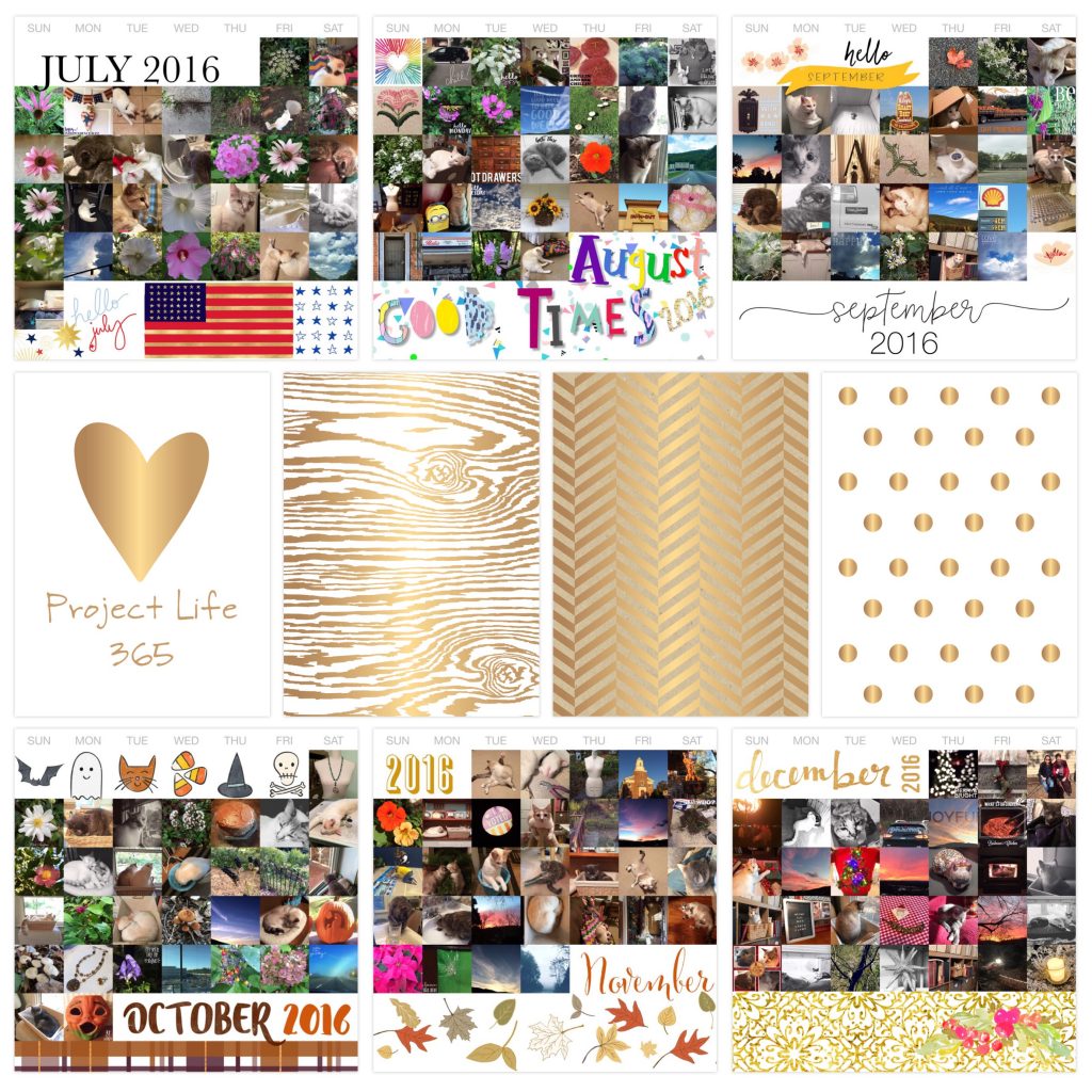 THREE LITTLE KITTENS BLOG | Project Life 365 for 2016 Jul - Dec