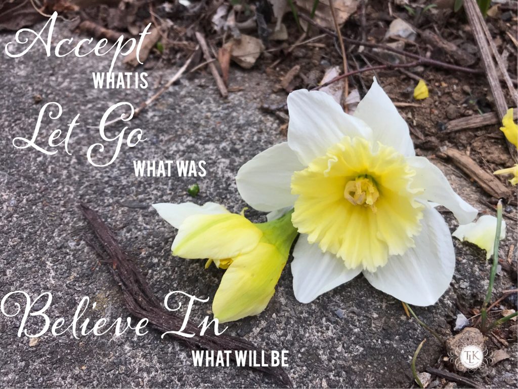 THREE LITTLE KITTENS BLOG | Accept What Is, Let Go What Was, Believe in What Will Be