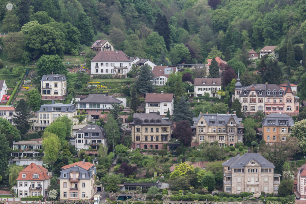 THREE LITTLE KITTENS BLOG | Heidelberg Castle | Friedrichsbau