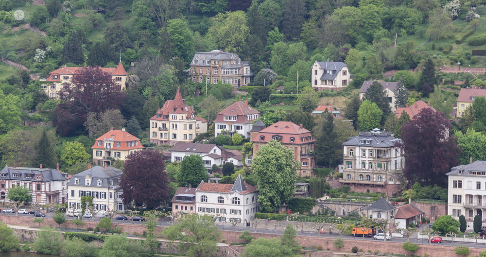 THREE LITTLE KITTENS BLOG | Heidelberg Castle | Friedrichsbau