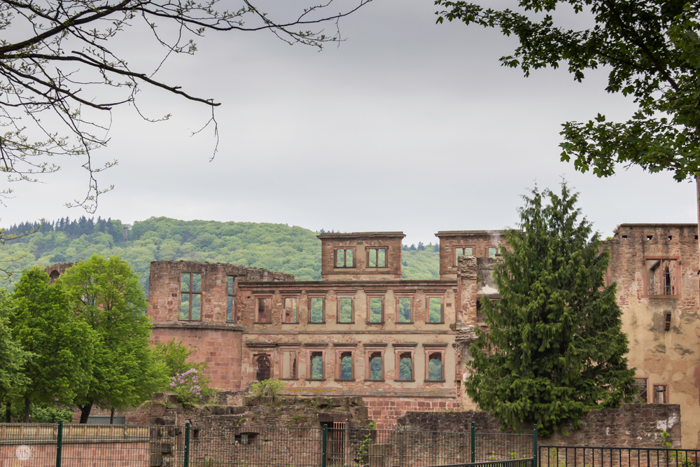 THREE LITTLE KITTENS BLOG | Heidelberg Castle | English Wing