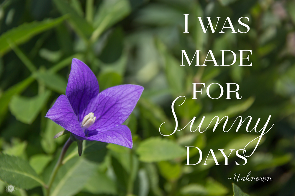 Welcome to summer with a fun little summer quote!