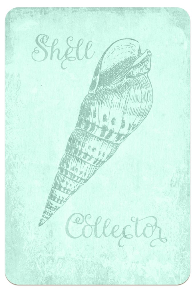 THREE LITTLE KITTENS BLOG | Digital Goodie Day | Printable | Shell Collector