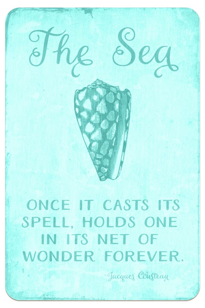 THREE LITTLE KITTENS BLOG | Digital Goodie Day - Sea Glass Seashells - The Sea Quote