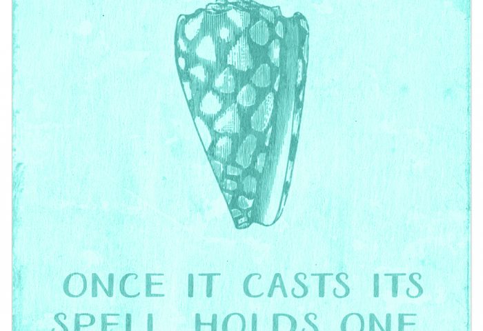 Digital Goodie Day - Sea Glass Seashells - The Sea Quote
